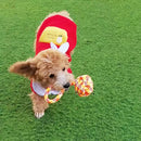 Attractive Rope Toy For Medium And Larger Breed