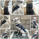 Winter Velvet Dog Sweater
