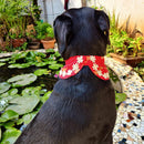 Dog Bandana Collar Bow Ties for Puppy and Cats