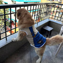 Summer T-shirt For Pets