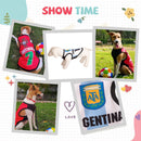 Summer T-shirt For Pets