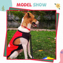 Summer T-shirt For Pets