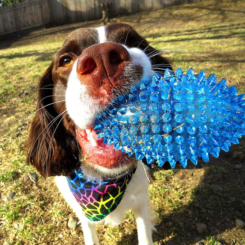 Emily Pets Transparent Spike Toys Rubber Squeaker Rugby Dog Toy Large(Colors vary)