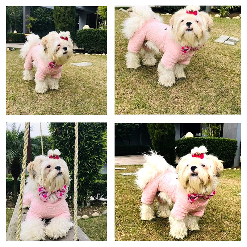 Jumpsuit For Dog Cats And Rabbit