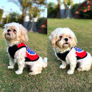 Summer T-shirt For Pets