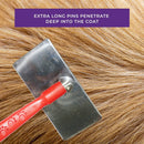 Premium Stainless Steel Pet Brush with Paw Print Handle