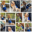 Summer T-shirt For Pets