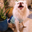 Summer T-shirt For Pets