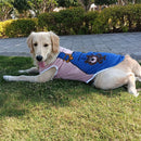 Summer T-shirt For Pets