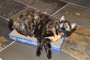Double Wide Corrugated Cardboard Cat Scratcher Lounger