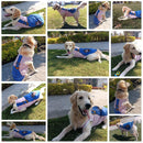 Summer T-shirt For Pets