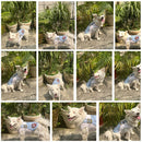 Dog Printed Teddy T-Shirt Dog Shirt Breathable For Pets (Sky Blue)