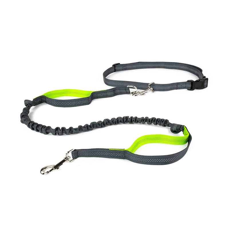 Reflective Leash For Pets