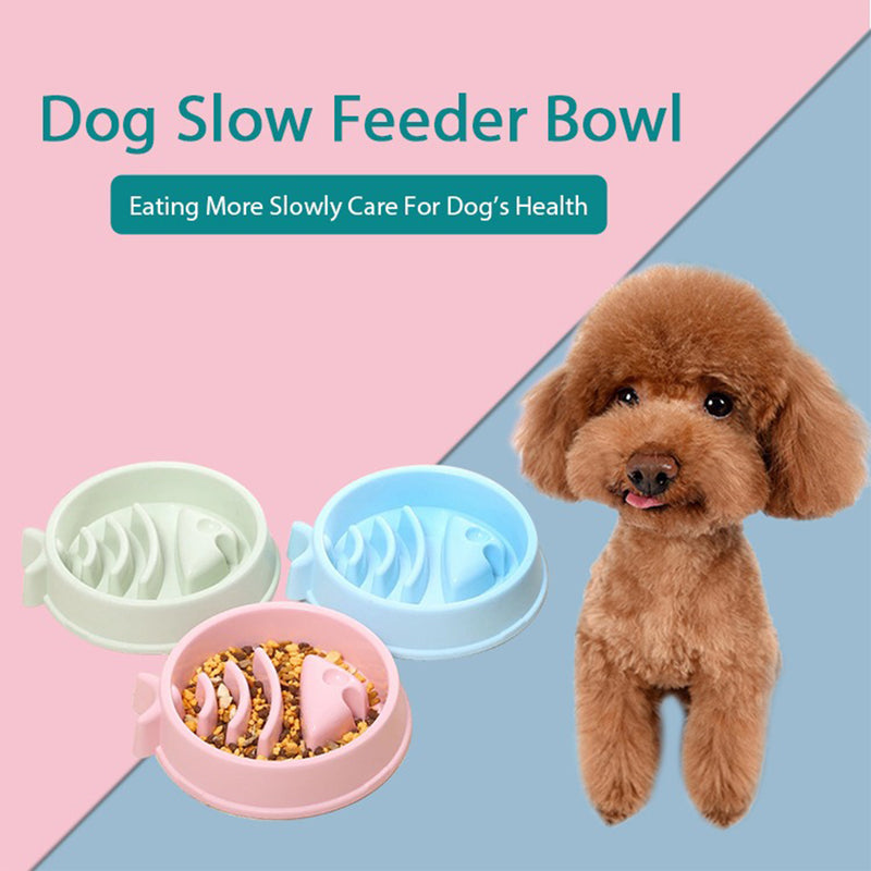 Slow Feed Bowl For Pets