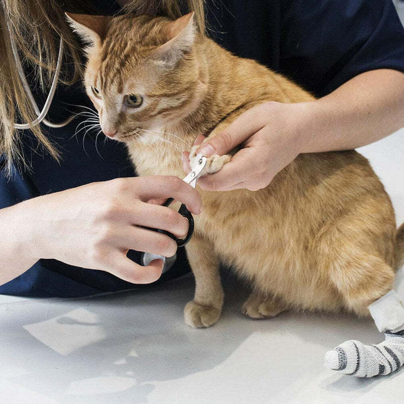 Pet Cat Nail Trimmer Clipper Scissors for Pets