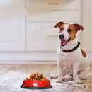 Pantone Design Stainless Steel Dog Bowl