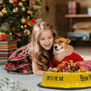 Convenient Food and Water Bowl for Dogs & Cats