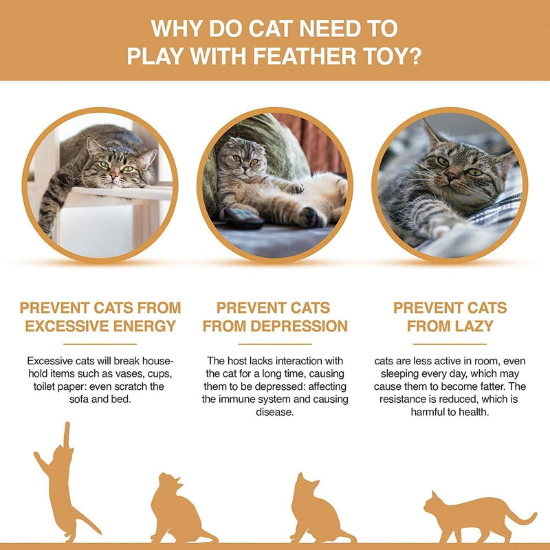 Toys For Cats (Pack of 7, Color May Vary)
