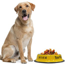 Convenient Food and Water Bowl for Dogs & Cats