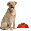 Convenient Food and Water Bowl for Dogs & Cats