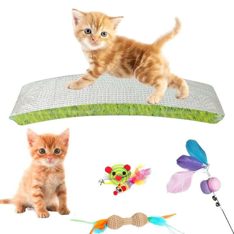 Cat Kitten Toys Combo (Pack of 5,Color May Vary)