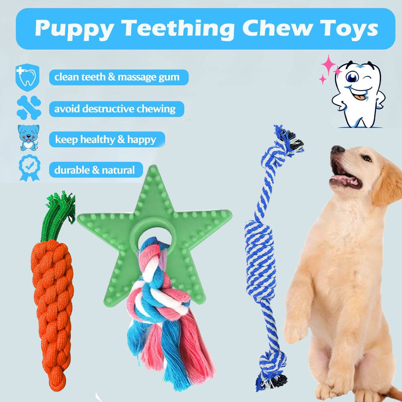 Dog Chew Toys And Rope Toys Combo (Color May Vary, Pack of 3)