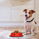 Convenient Food and Water Bowl for Dogs & Cats