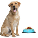 Pantone Design Stainless Steel Dog Bowl