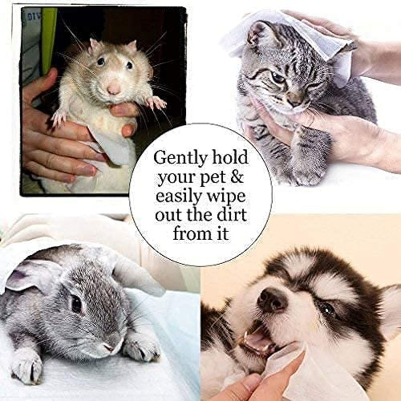 Grooming Kit For Pets (5 in 1-Pack)