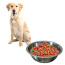 Emily Pets Dog Bowl Stainless Steel Anti Skid Dog Bowl (Medium, Pack of 1)