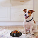 Convenient Food and Water Bowl for Dogs & Cats