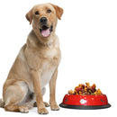 Pantone Design Stainless Steel Dog Bowl