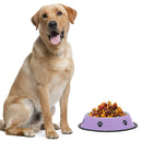 Convenient Food and Water Bowl for Dogs & Cats