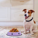 Convenient Food and Water Bowl for Dogs & Cats