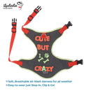 Crazy Pattern Harness For Dogs