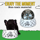 Sturdy Melamine Dog Bowl