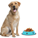Convenient Food and Water Bowl for Dogs & Cats