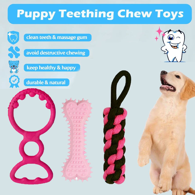 Chew Tug Toys Set For Dogs (Color May Vary, Pack of 3)