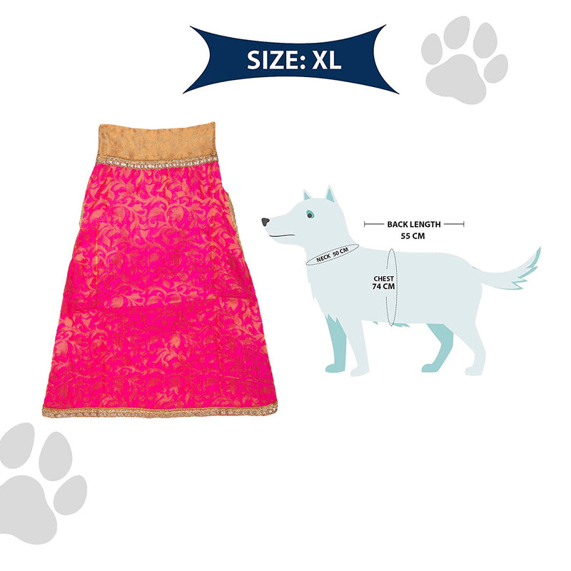 Ethnic Wear for Dogs Wedding Outfits