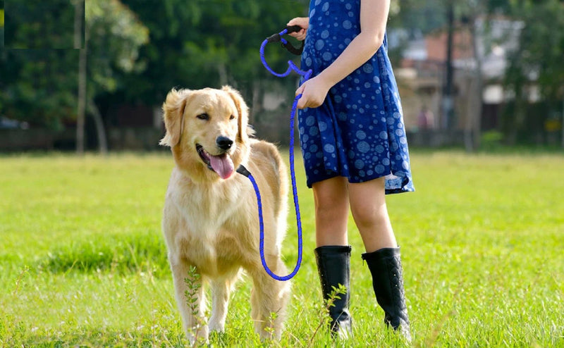 Emily Pets 4FT Heavy Duty Dog Leash Explosion-Proof Spring for Medium and Large Dog(Red-Black,Pink-Blue,Blue-Black)