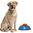 Convenient Food and Water Bowl for Dogs & Cats