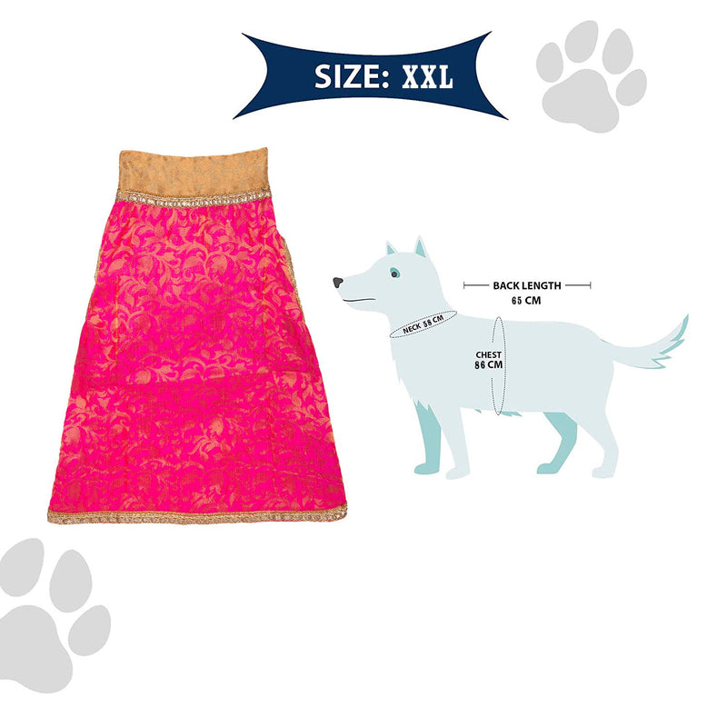 Ethnic Wear for Dogs Wedding Outfits