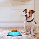 Pantone Design Stainless Steel Dog Bowl