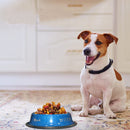 Convenient Food and Water Bowl for Dogs & Cats