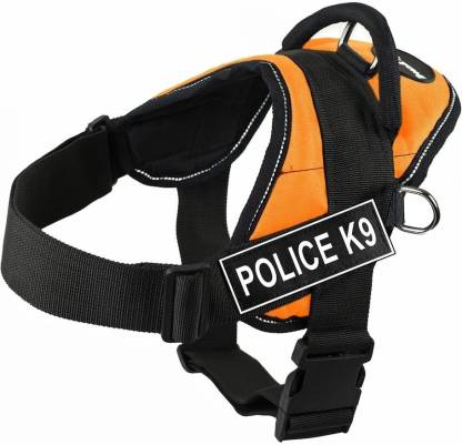 Adjustable Dog Harness for Safe and Stylish Walks (XL)